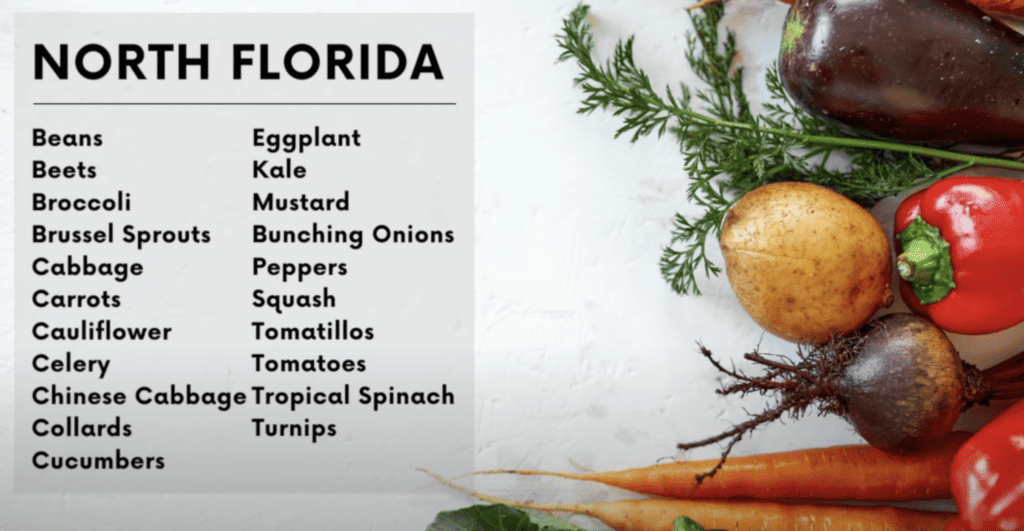 What to grow in North Florida in August